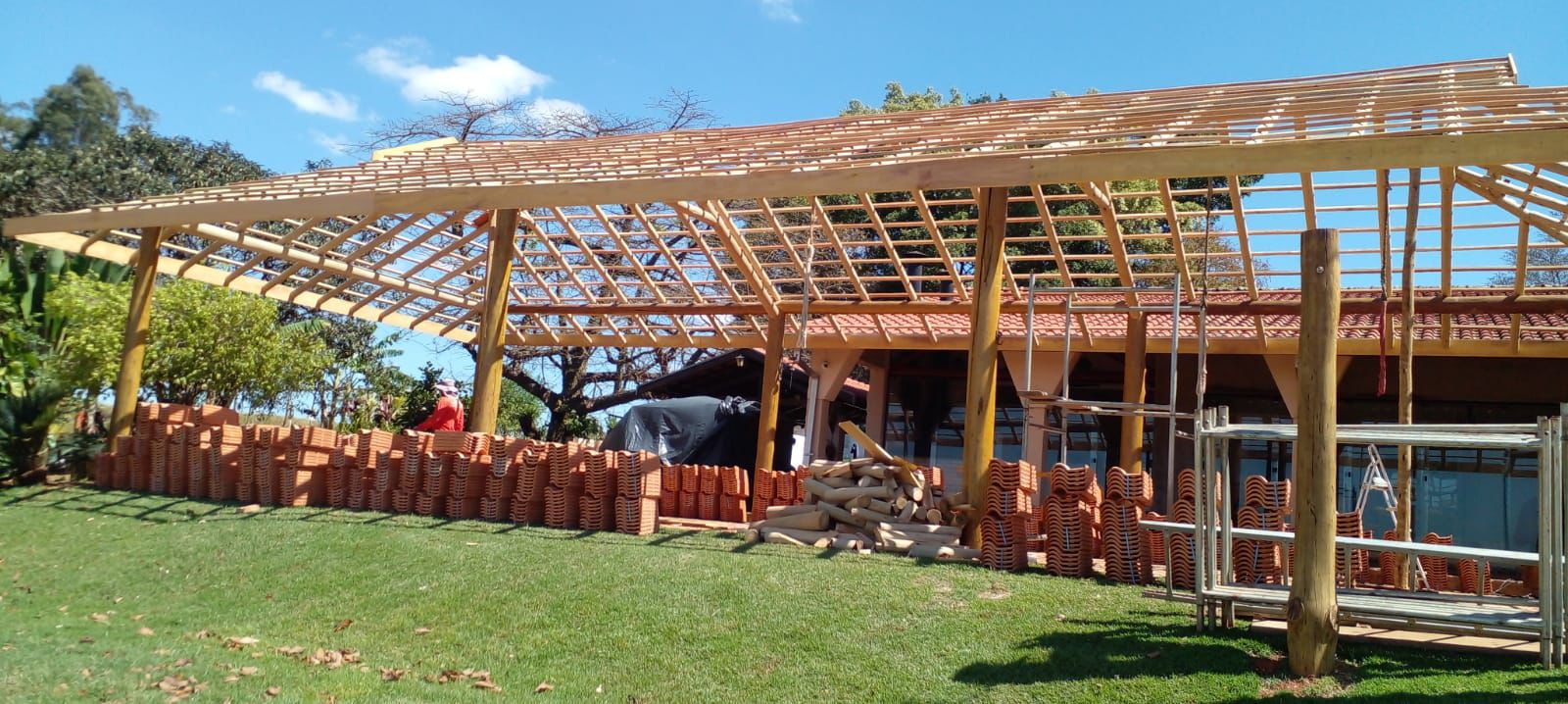 Eucalipto para Construção