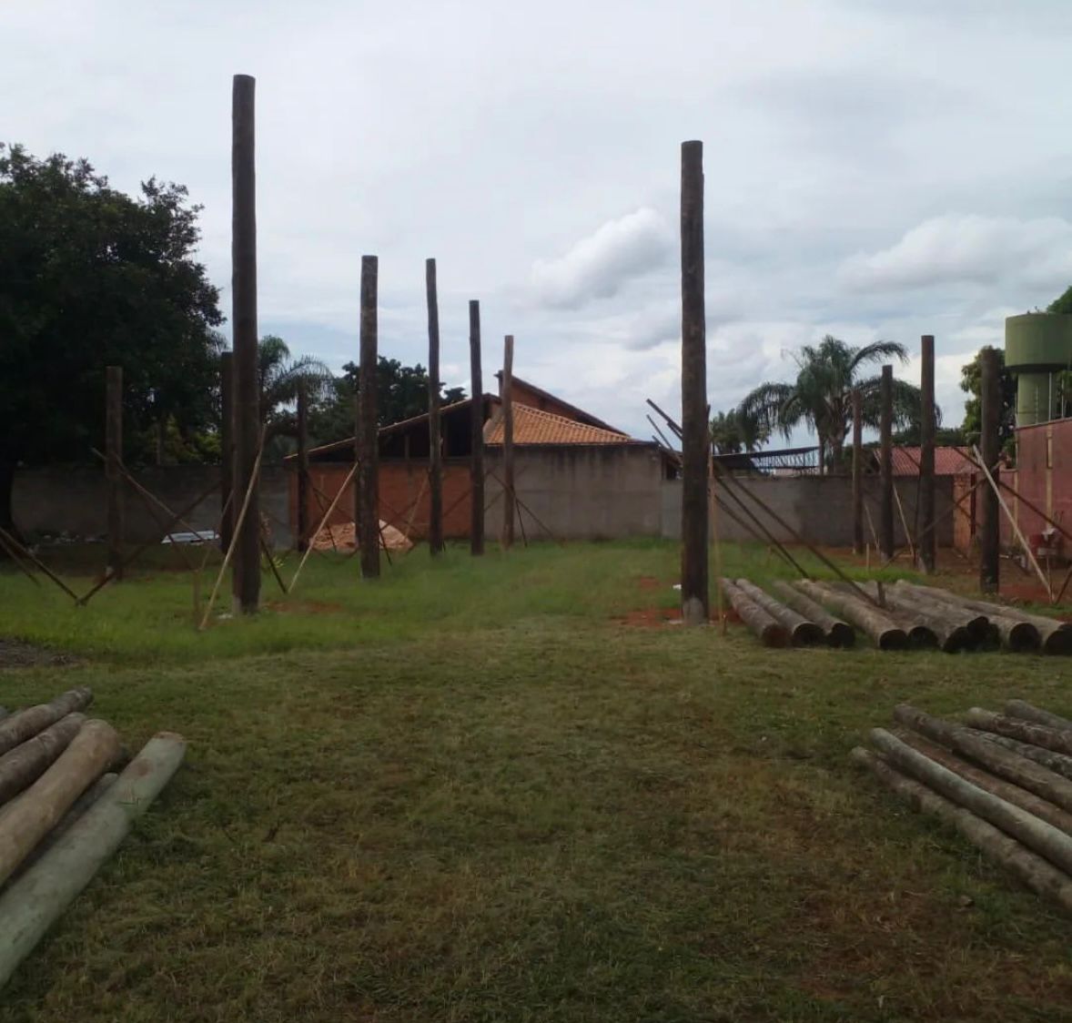 Estacas de Eucalipto